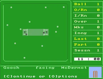 International One Day Cricket_Disk1 screen shot game playing